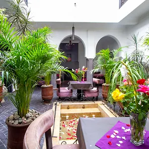 4* رياد رياض اميران